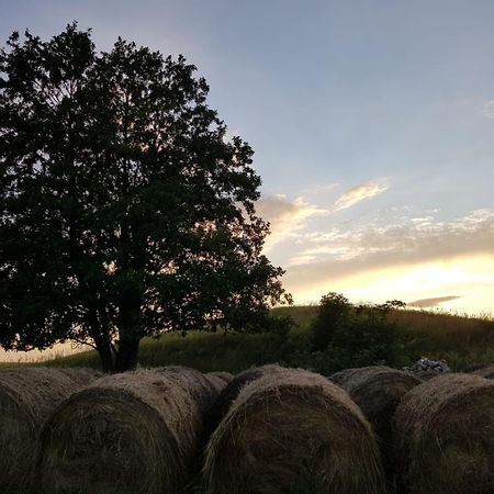 Zosienka Domki Wypoczynkowe Giżycko Extérieur photo